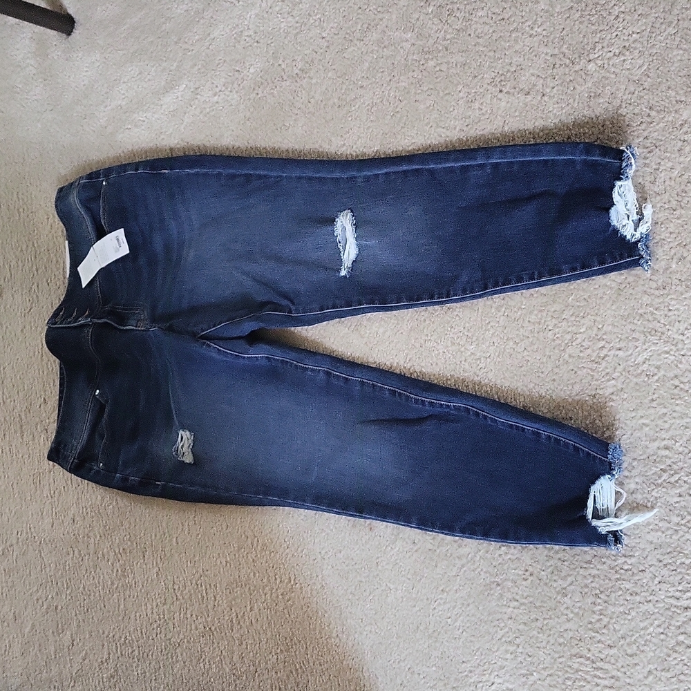 New Lane Bryant Jeggings
